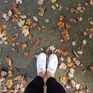 Meet your Posher, Carmella